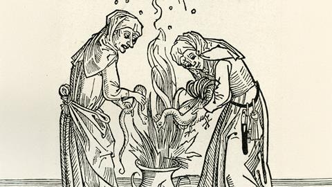 Woodcut image of two women adding a chicken and a snake to a cauldron
