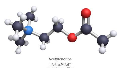 Acetylcholine 3D molecule