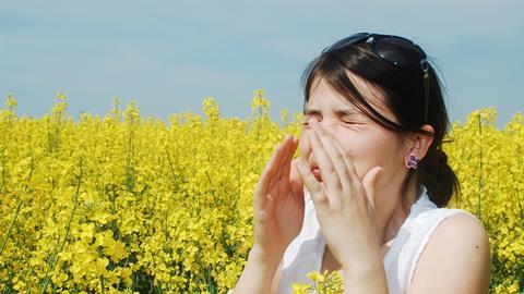 Sneezing in a field