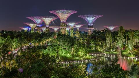 A photograph of the Supertree Grove in Singapore's Gardens by the Bay