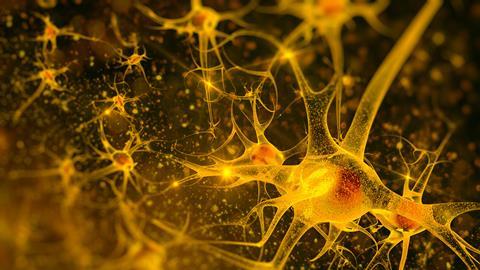 Digital illustration of neurons