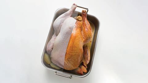 Half-cooked turkey
