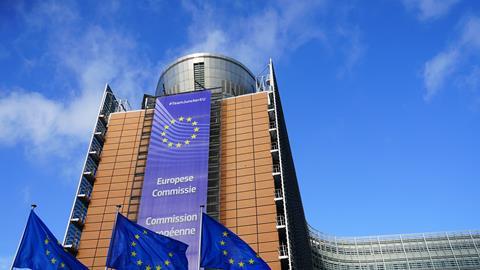 An image showing the European Commission