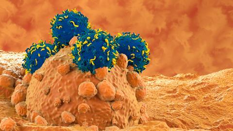 Cancer cell represented in orange on a dark orange background, covered by blue spheres with yellow segments representing CAR-T cells