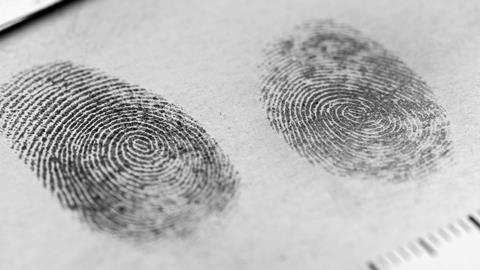 View of a fingerprint revealed by printing.