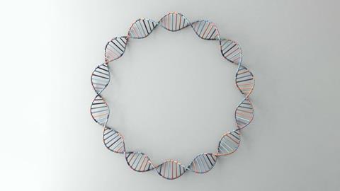 Circular DNA