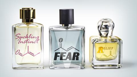 A photo of three perfume bottles
