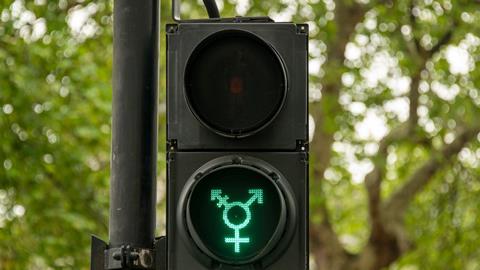 An image showing a traffic light where the green represents tolerance towards all sexual orientations