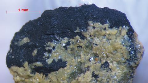 Figure 1 a stepanovite crust on coal chai tumus