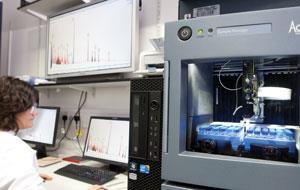 ultraperformance liquid chromatograph-mass spectrometer