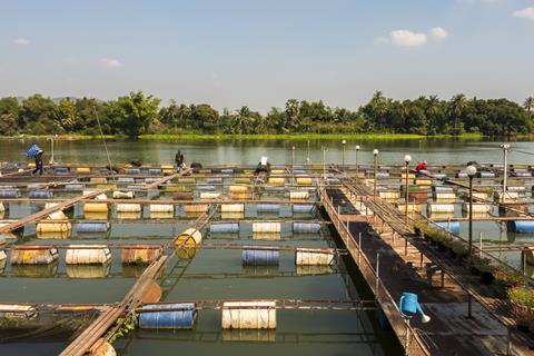 A photograph of a fish farm