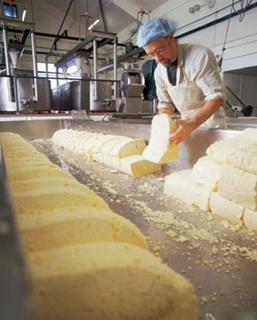 hand-processing curds