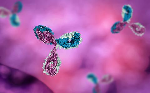 A 3D illustration of antibodies