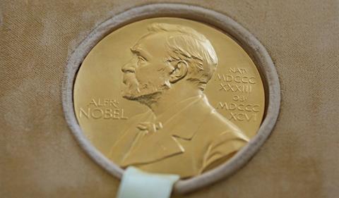 A photograph of the Nobel Prize of George Emil Palade