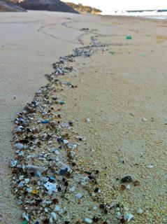 An image showing a trail of plastic debris on the beach