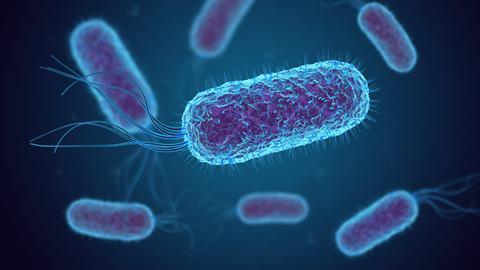 An image showing E coli