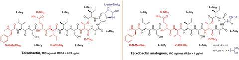 Teixobactin analogues