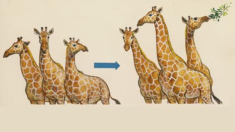 Evolution according to Darwin - giraffes drawing