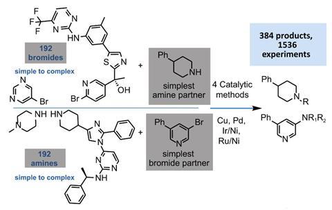 C-N coupling whole molecule reaction profiling