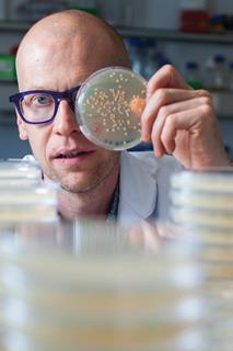 Kevin Verstrepen, VIB-KU Leuven Center for Microbiology