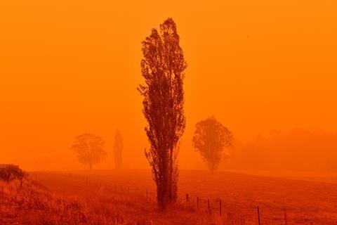 An image from an Australian wildfire