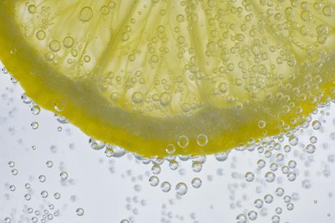 Slice of lemon in a fizzy drink