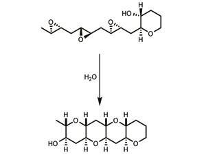 0812CW_FEATURE_Organic-Synthesis_Fig5_300
