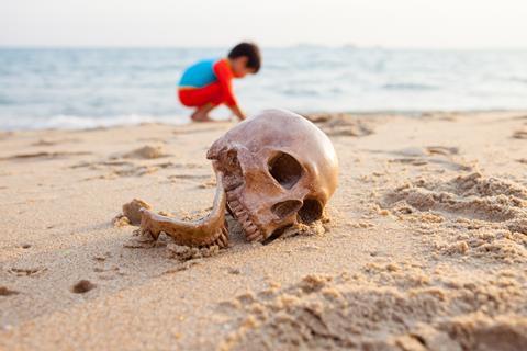 A photograph of a skull on a beach