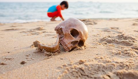 Skull on beach