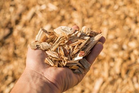 A handful of dry technological wood chips. Selective focus.