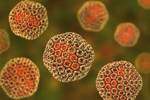 Rift valley fever virus