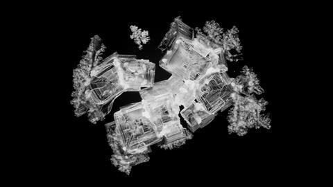 An image showing the crystallisation of sodium chloride