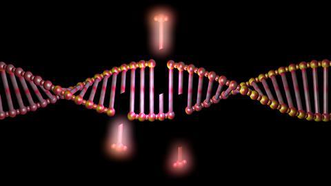 A conceptual illustration of gene editing