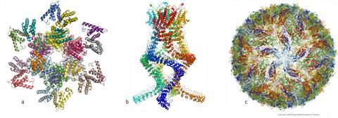 Atomic structures of complicated protein complexes
