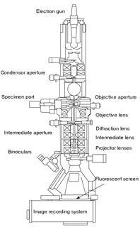 Diagram outlining the internal components of a basic TEM system