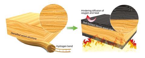 An image showing the principle of the self-formed wood char layer of densified wood for fire resistance