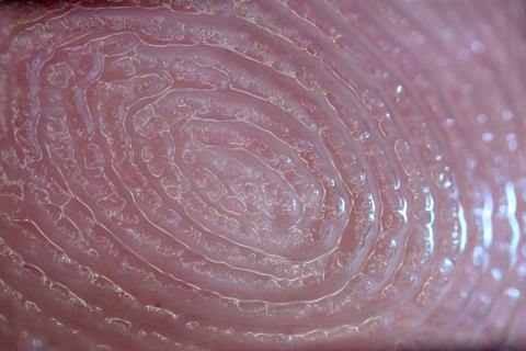 Extreme close up of a finger pad showing the sweat between the ridges