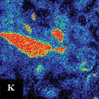 Electron probe micro-analyzer x-ray elemental maps of altered K-feldspar