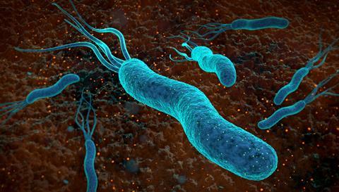 Artistic impression of Helicobacter pylori