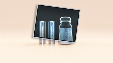 An illustration showing an X-ray of two batteries and a salt shaker