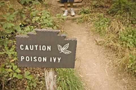 Poison Ivy (Toxicodendron radicans) sign with hiker in background