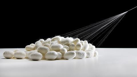 Silk cocoons