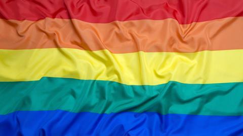 An image showing the LGBT flag
