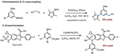Chemoselective C–C cross-coupling