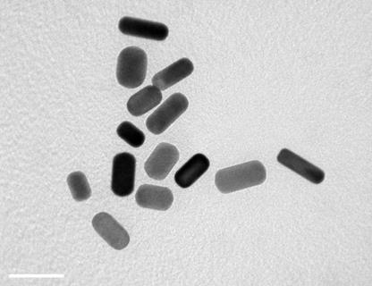 rod-shaped nanoparticles