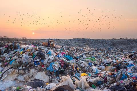 Birds flying over landfill
