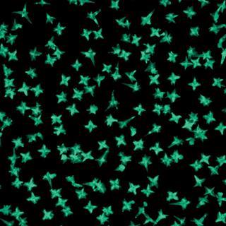 starshaped nanoparticles