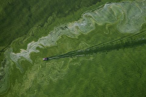 A lake from above there is a a motor boat driving through a large swirling green algal bloom