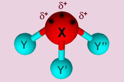 A molecular model of a X one, Y three showing three sites of delta plus charge on the X.