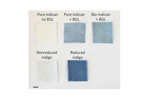 Bio-indican can be used as an effective, reductant-free cotton textile dye. (a) Top row, Pure indican with no β-glucosidase (BGL); pure indican with β-glucosidase; bio-indican with β-glucosidase. Bottom row, Indigo, nonreduced; indigo, reduced with sodium